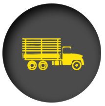 Trucks / Trailers